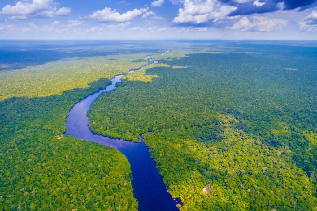 Amazonas