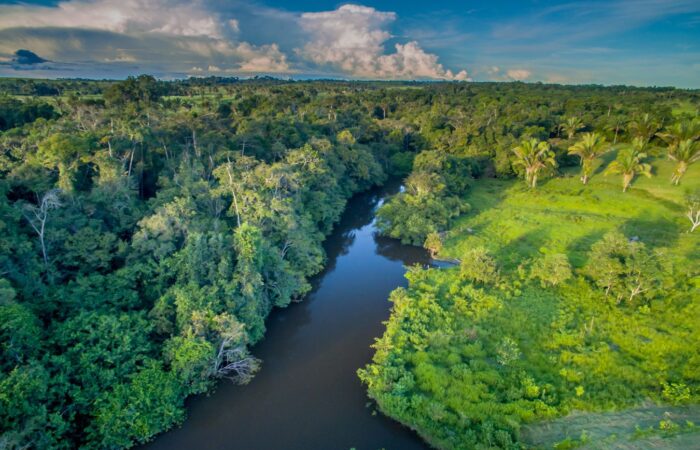 Amazonas