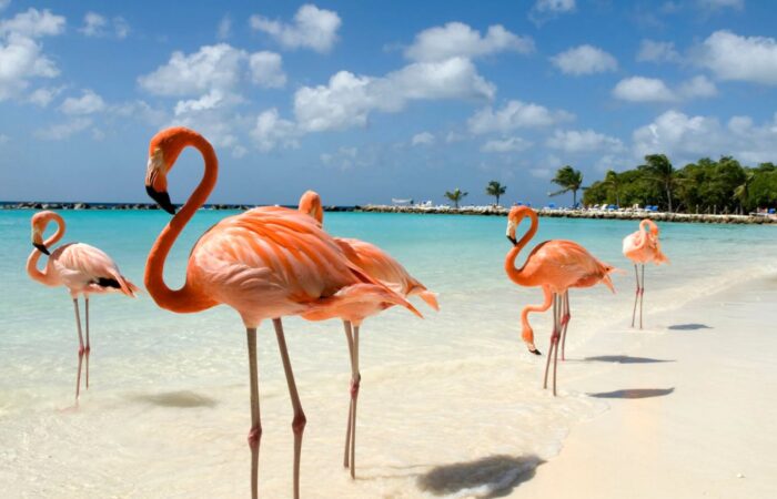 Aruba