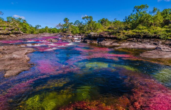 Caño Cristales - Best Experience Tours
