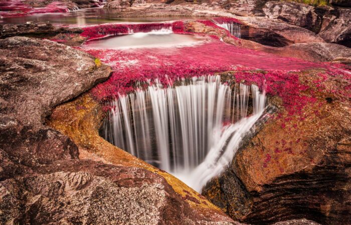 Caño Cristales