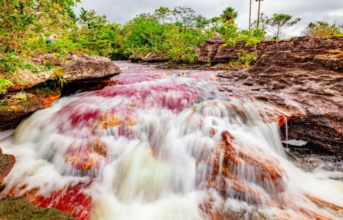Caño Cristales