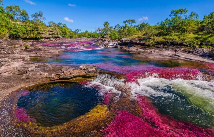 Caño Cristales