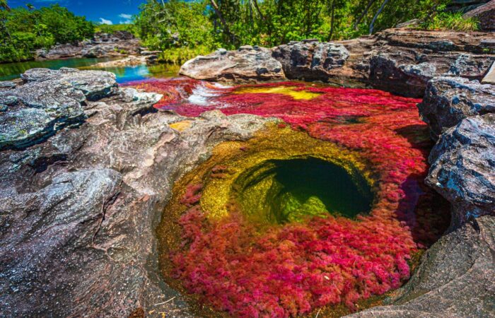 Caño Cristales