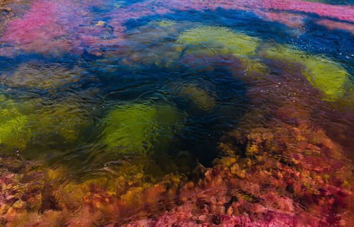 Caño Cristales