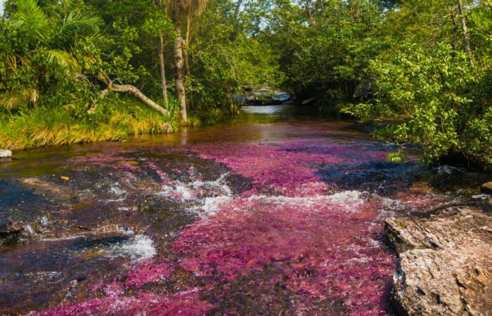 Caño Cristales