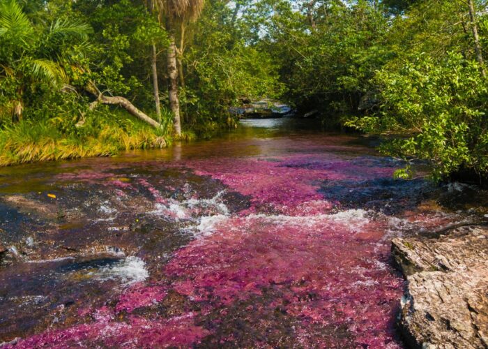 Caño Cristales