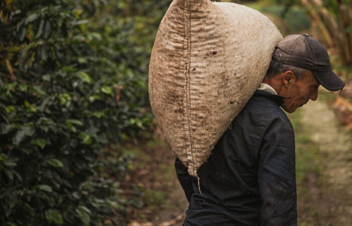 Eje Cafetero