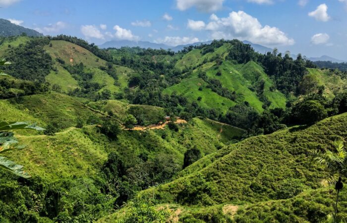 Eje Cafetero