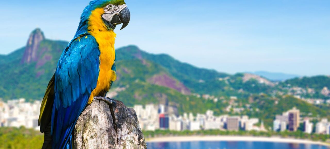 Río de Janeiro