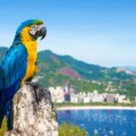 Río de Janeiro