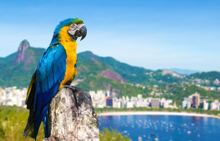 Río de Janeiro