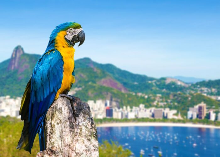 Río de Janeiro