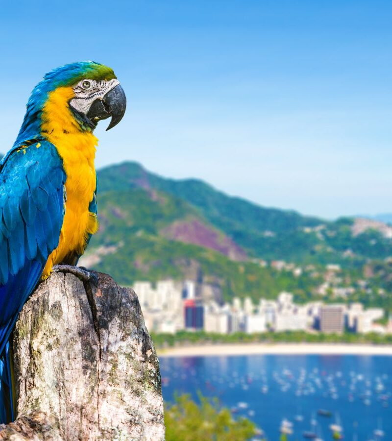 Río de Janeiro
